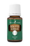 Eucalyptus Globulus Essential Oil