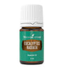 Eucalyptus Radiata Essential Oil